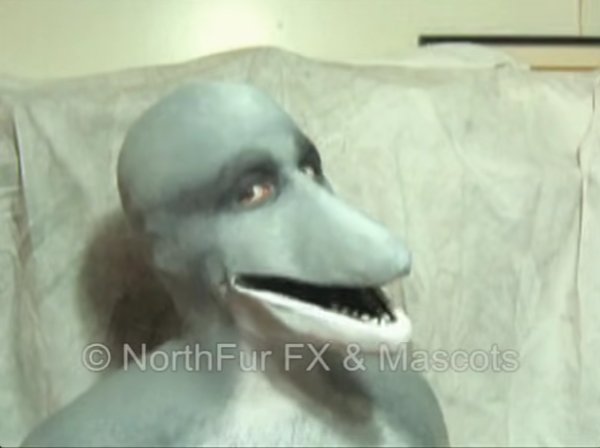 Dolphin Muzzle