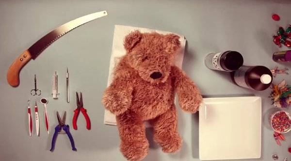 Teddy Has An Operation