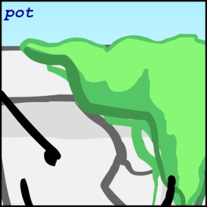 Pot