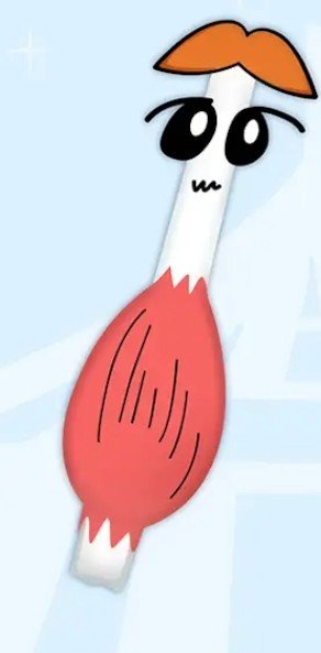 肌腱君