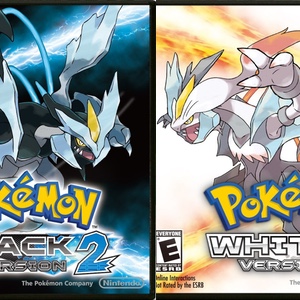 Black 2 & White 2