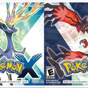 X & Y