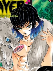 Inosuke Hashibira (Demon Slayer)