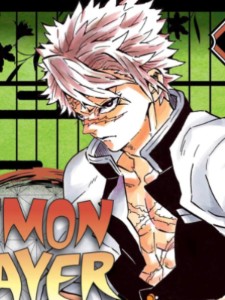 Sanemi Shinazugawa  (Demon Slayer)