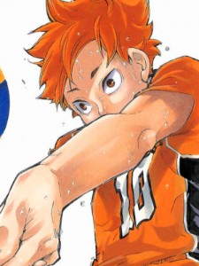 Shoyo Hinata (Haikyu!!)