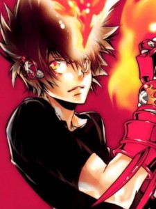 Tsunayoshi Sawada (Hitman Reborn!)