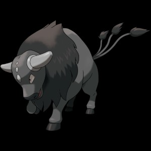 Paldean Combat Breed Tauros