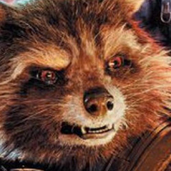 Rocket Raccoon