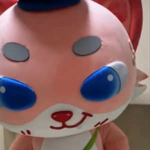 mr. toky