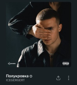 1000095481