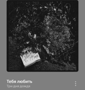 1000095529