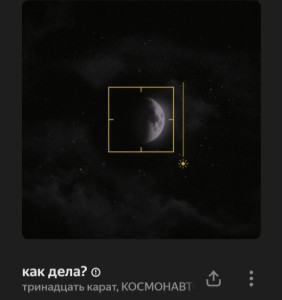 1000096053