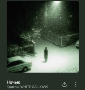 1000096107