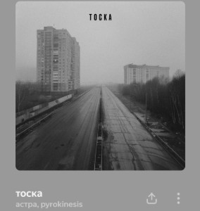 1000096254