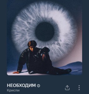 1000096258