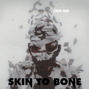 Skin to Bone