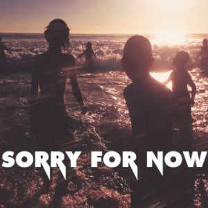 Sorry for Now