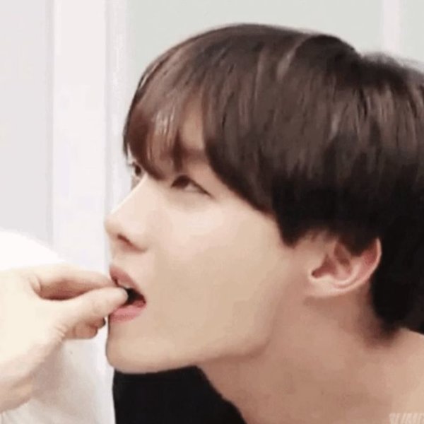 bottom hobi