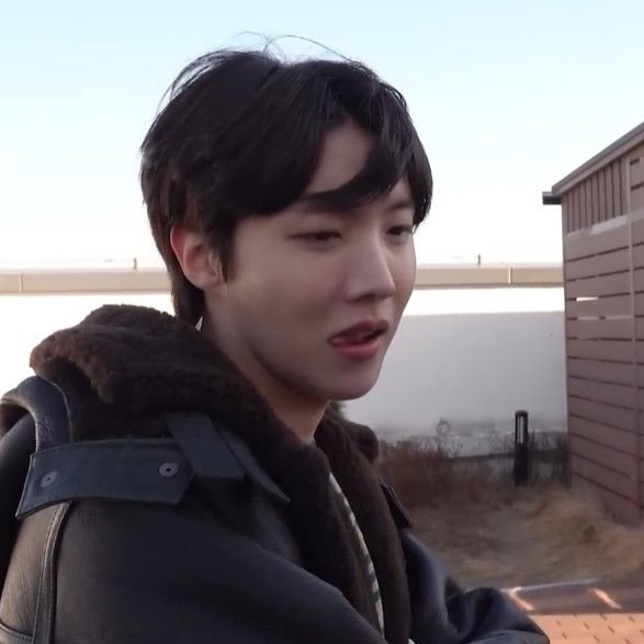 switch hobi