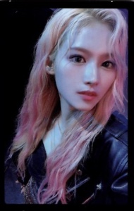 leather jacket sana