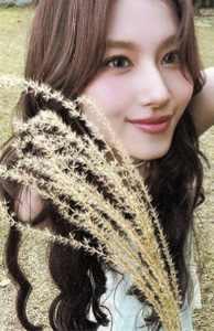 nature sana