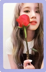 rose sana