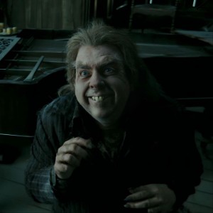 Peter Pettigrew