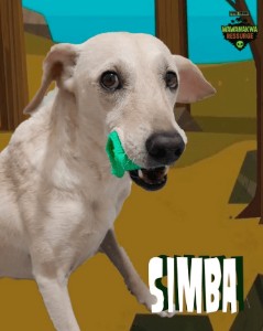 Simba