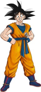 Turtle School Gi