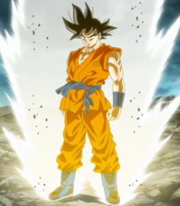 Whis Training Gi