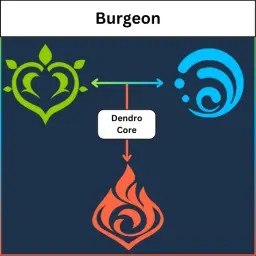 Burgeon