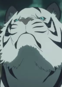 Bakko