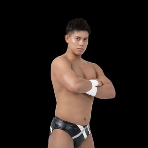 Masami Inahata