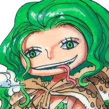 BOA SANDERSONIA