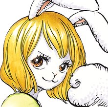 CARROT