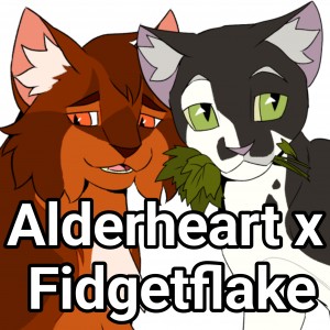 Alderheart x Fidgetflake