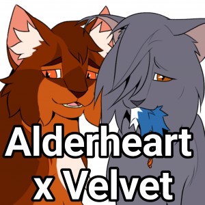 Alderheart x Velvet