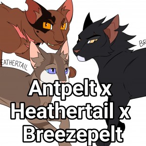 Antpelt x Heathertail x Breezepelt