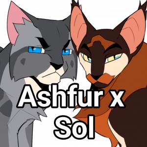 Ashfur x Sol