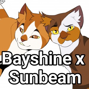 Bayshine x Sunbeam