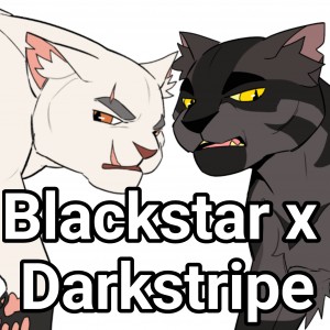Blackstar x Darkstripe