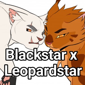 Blackstar x Leopardstar