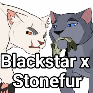 Blackstar x Stonefur