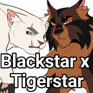 Blackstar x Tigerstar