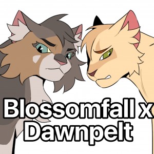 Blossomfall x Dawnpelt