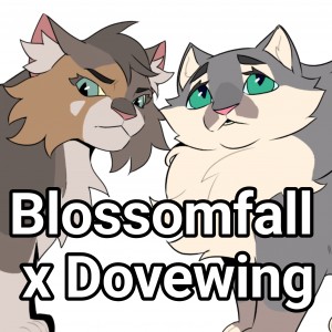 Blossomfall x Dovewing