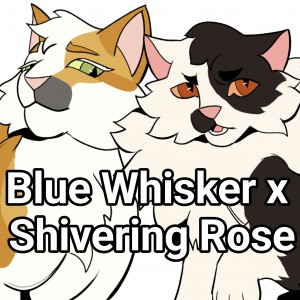 Blue Whisker x Shivering Rose