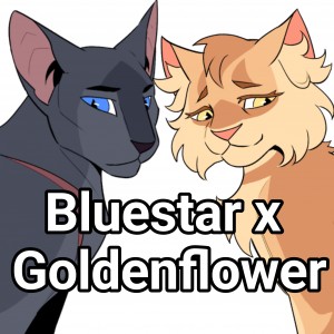 Bluestar x Goldenflower