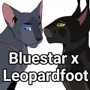 Bluestar x Leopardfoot