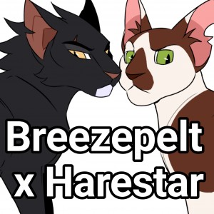 Breezepelt x Harestar